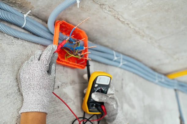 Best Electric Panel Repair  in New Richmond, WI